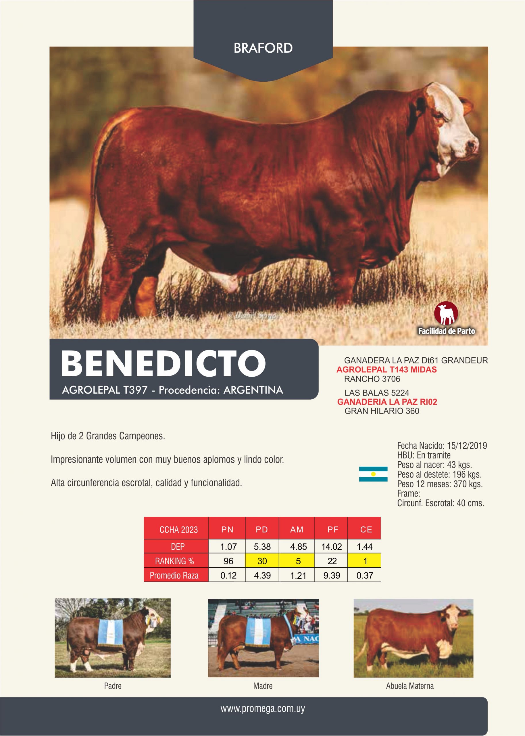 BENEDICTO