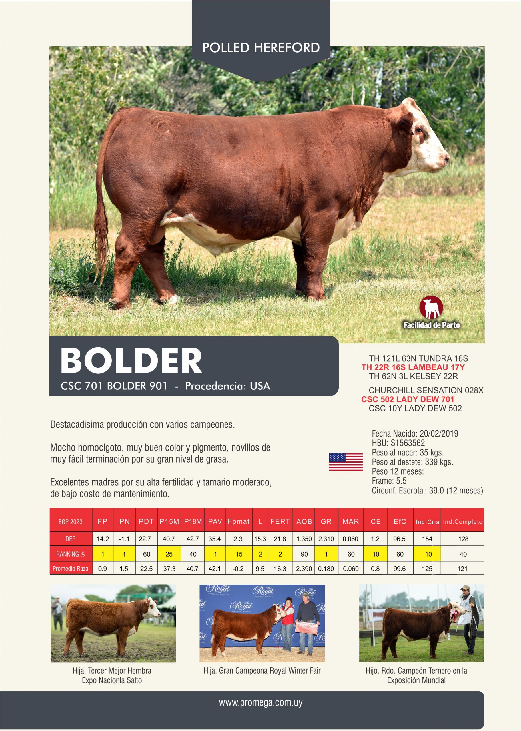 BOLDER