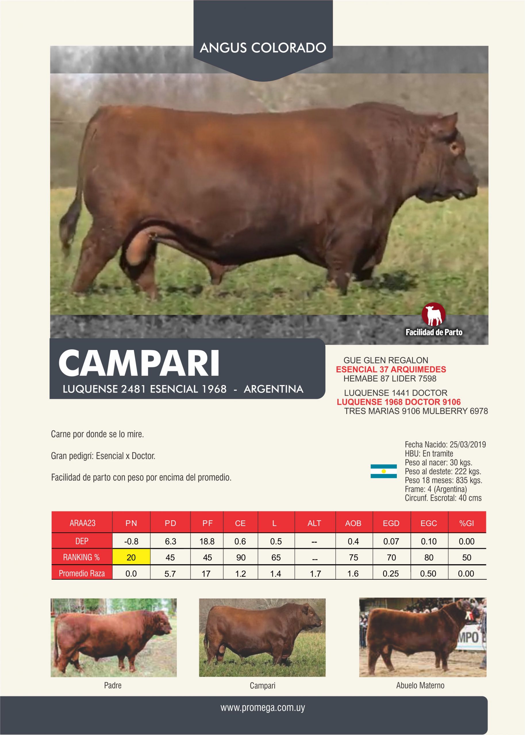 CAMPARI