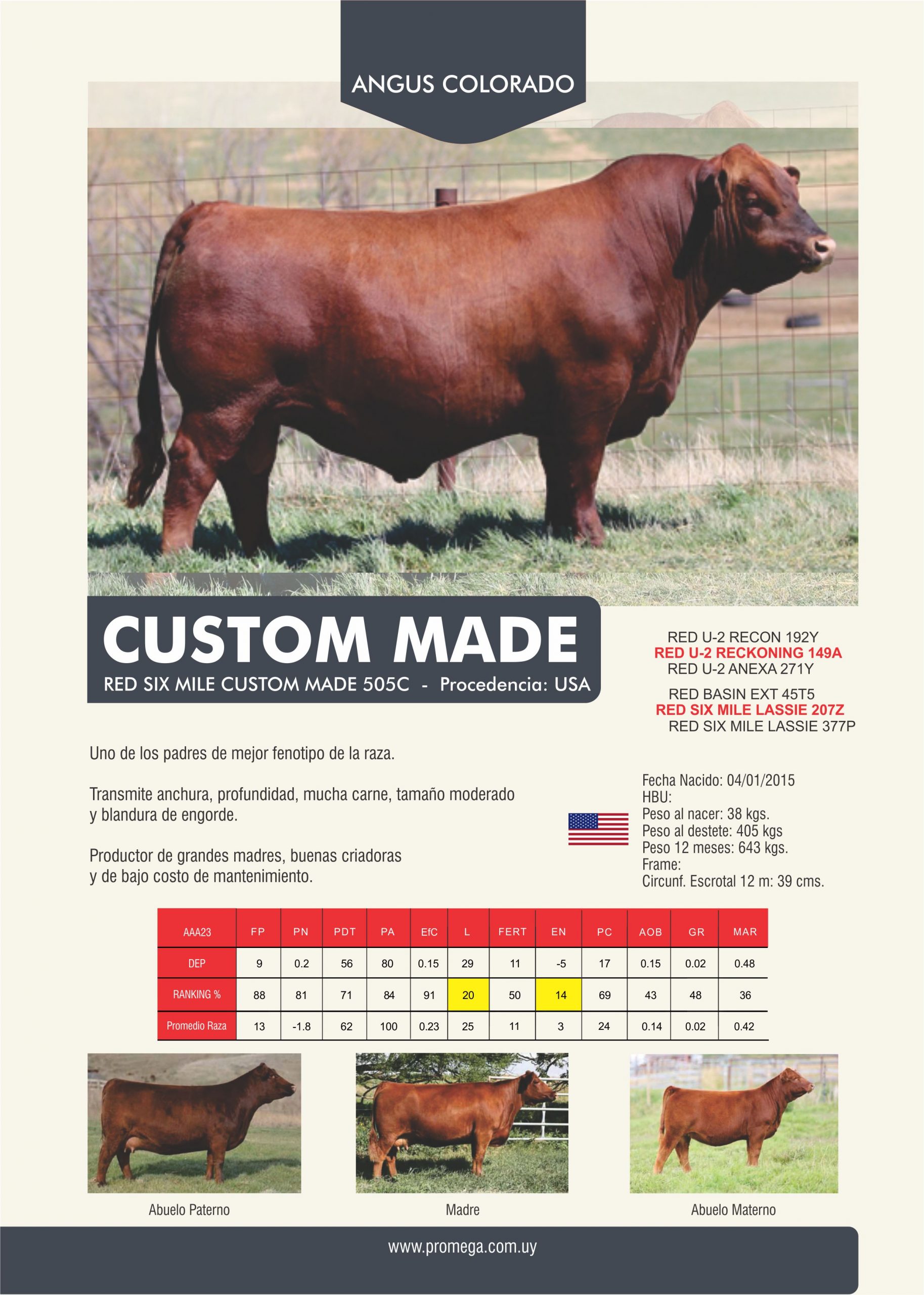 CUSTOM MADE