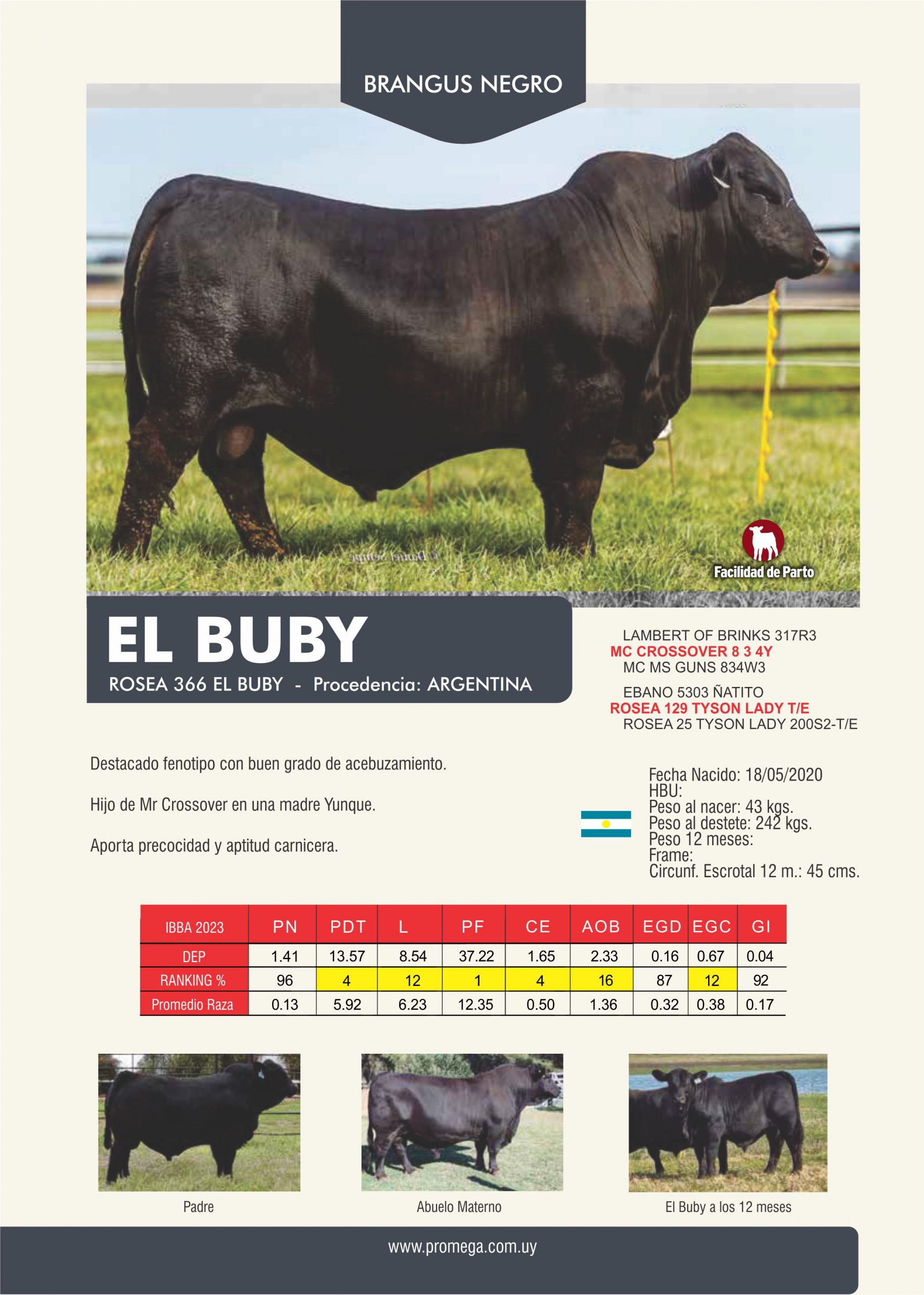 EL BUBY
