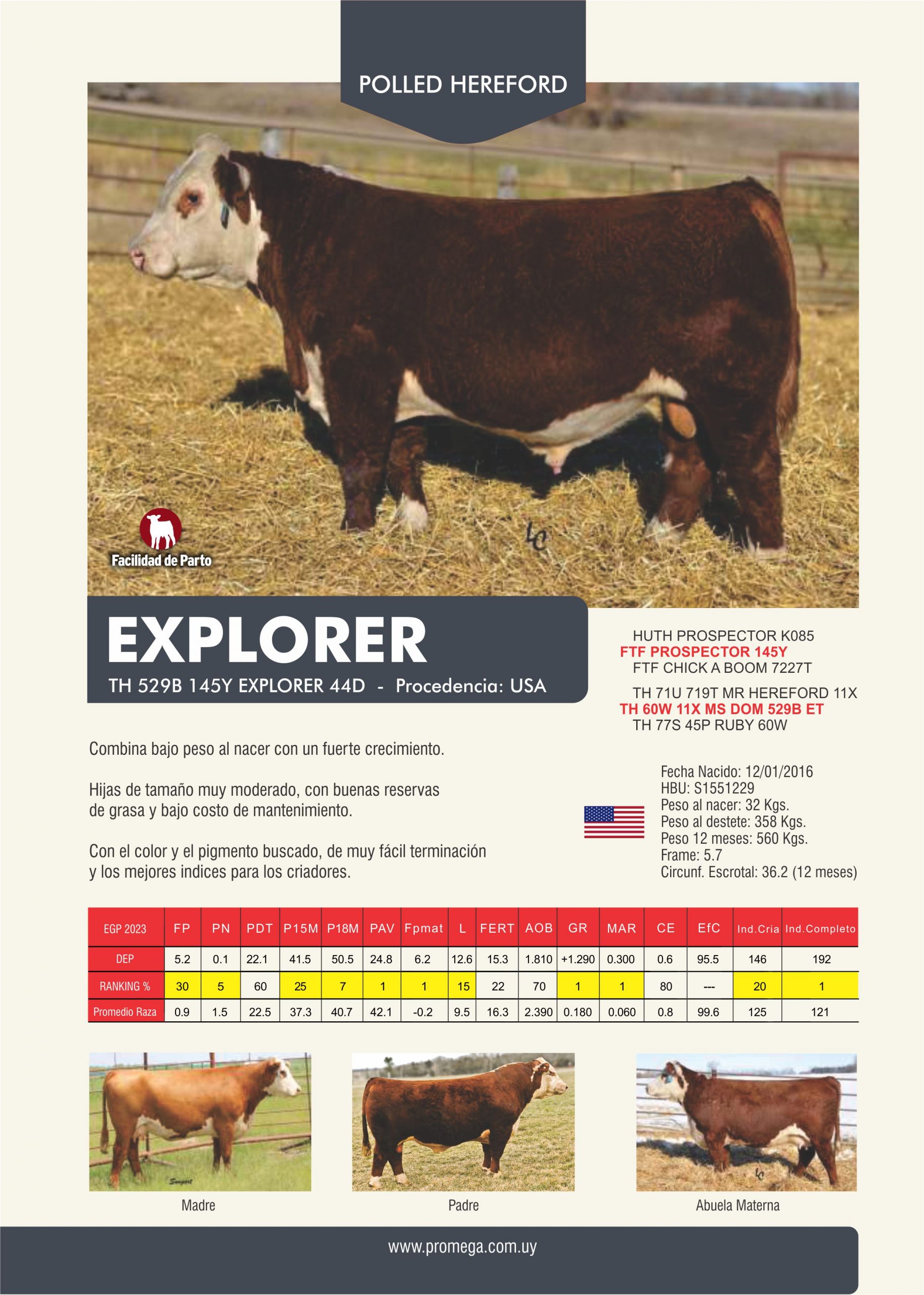 EXPLORER
