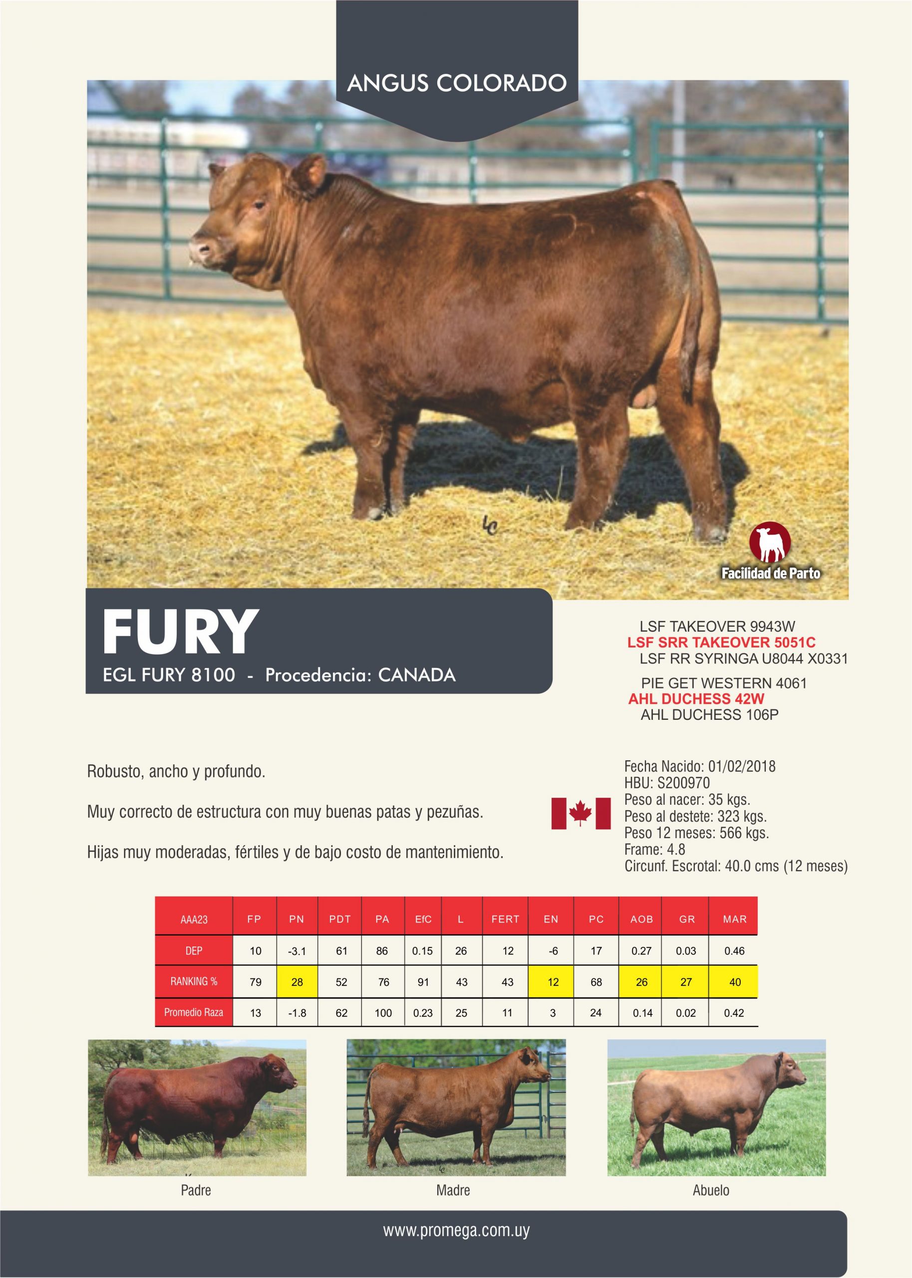 FURY