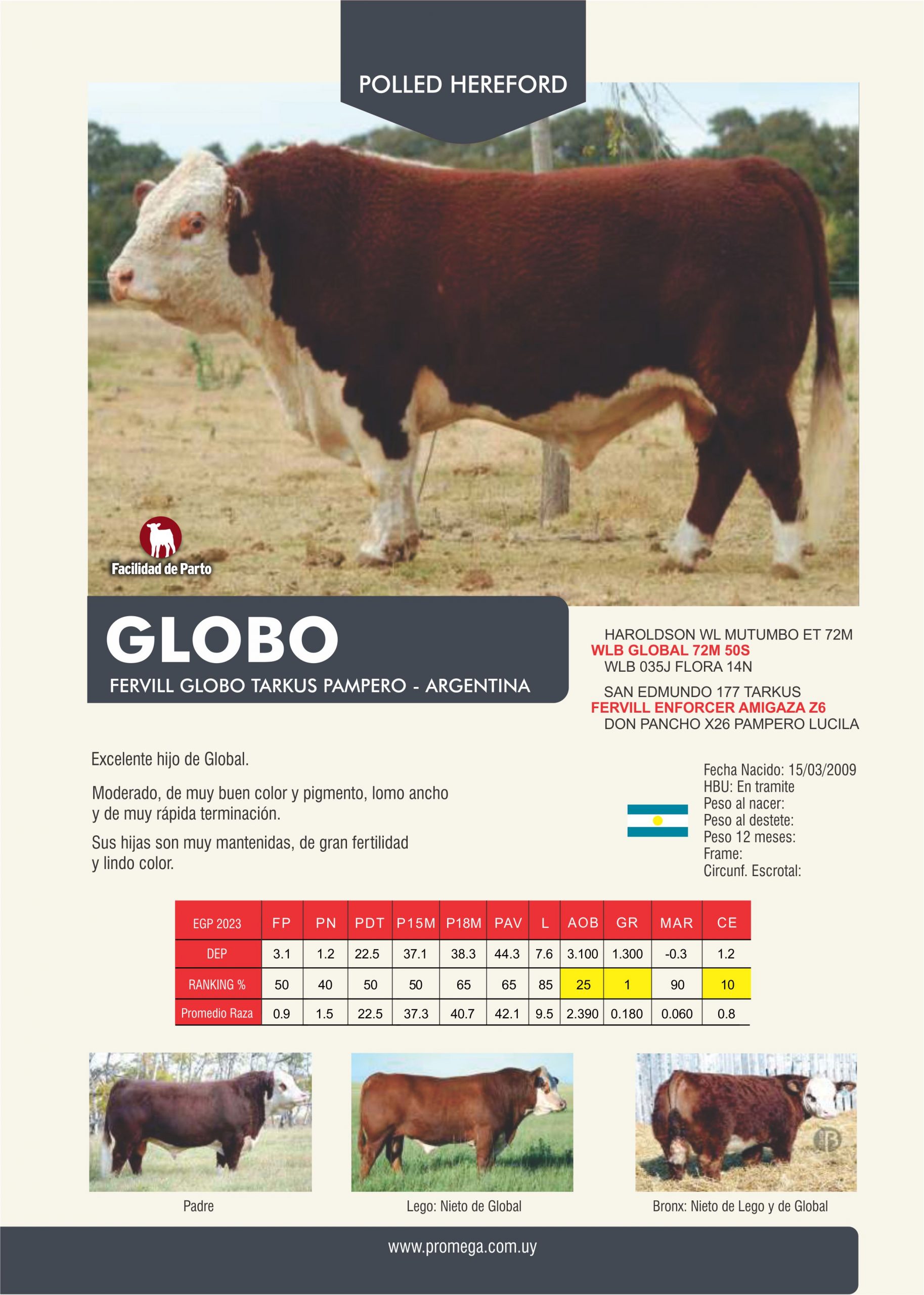 GLOBO