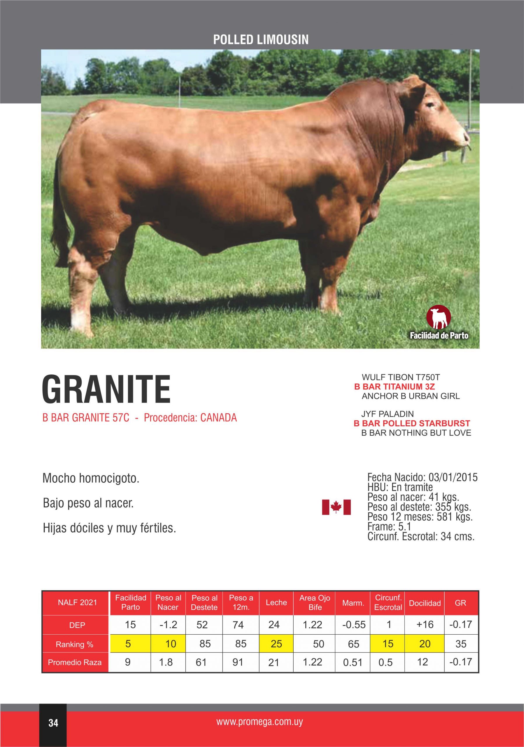 GRANITE