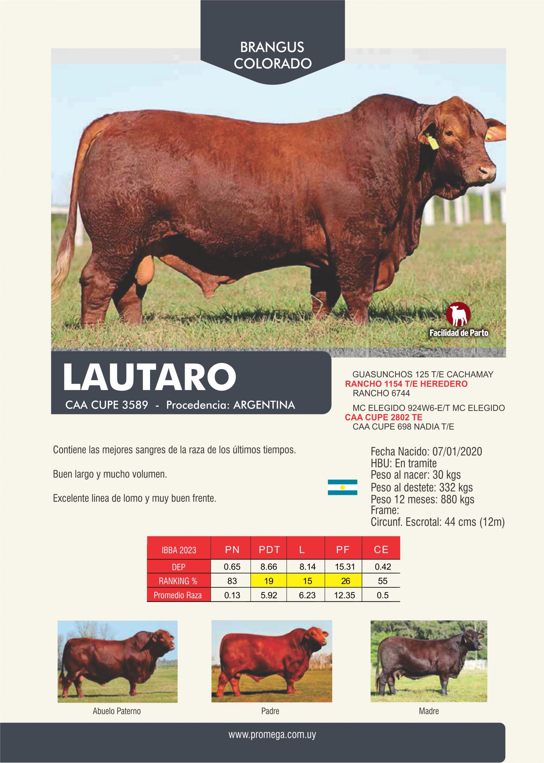 LAUTARO