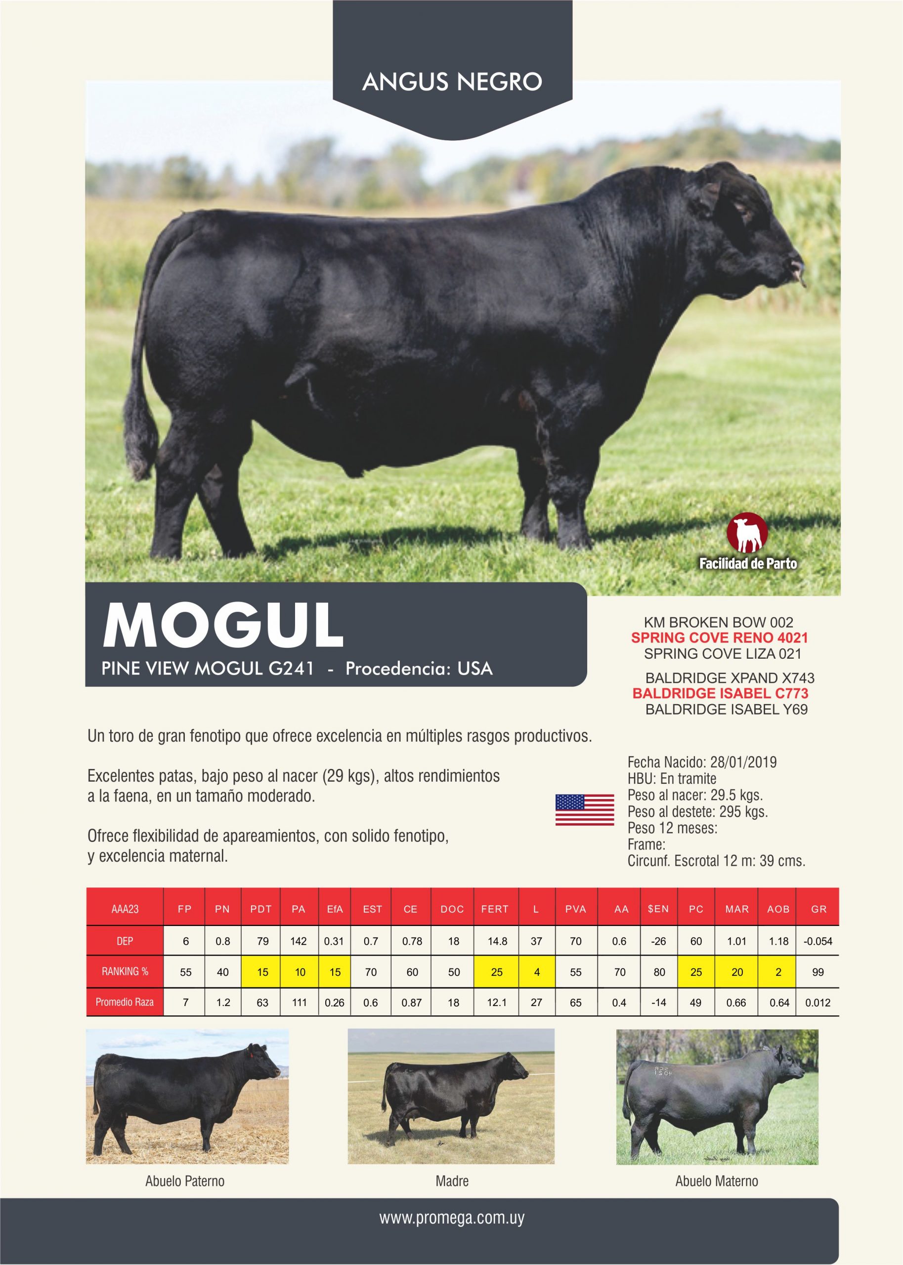 MOGUL