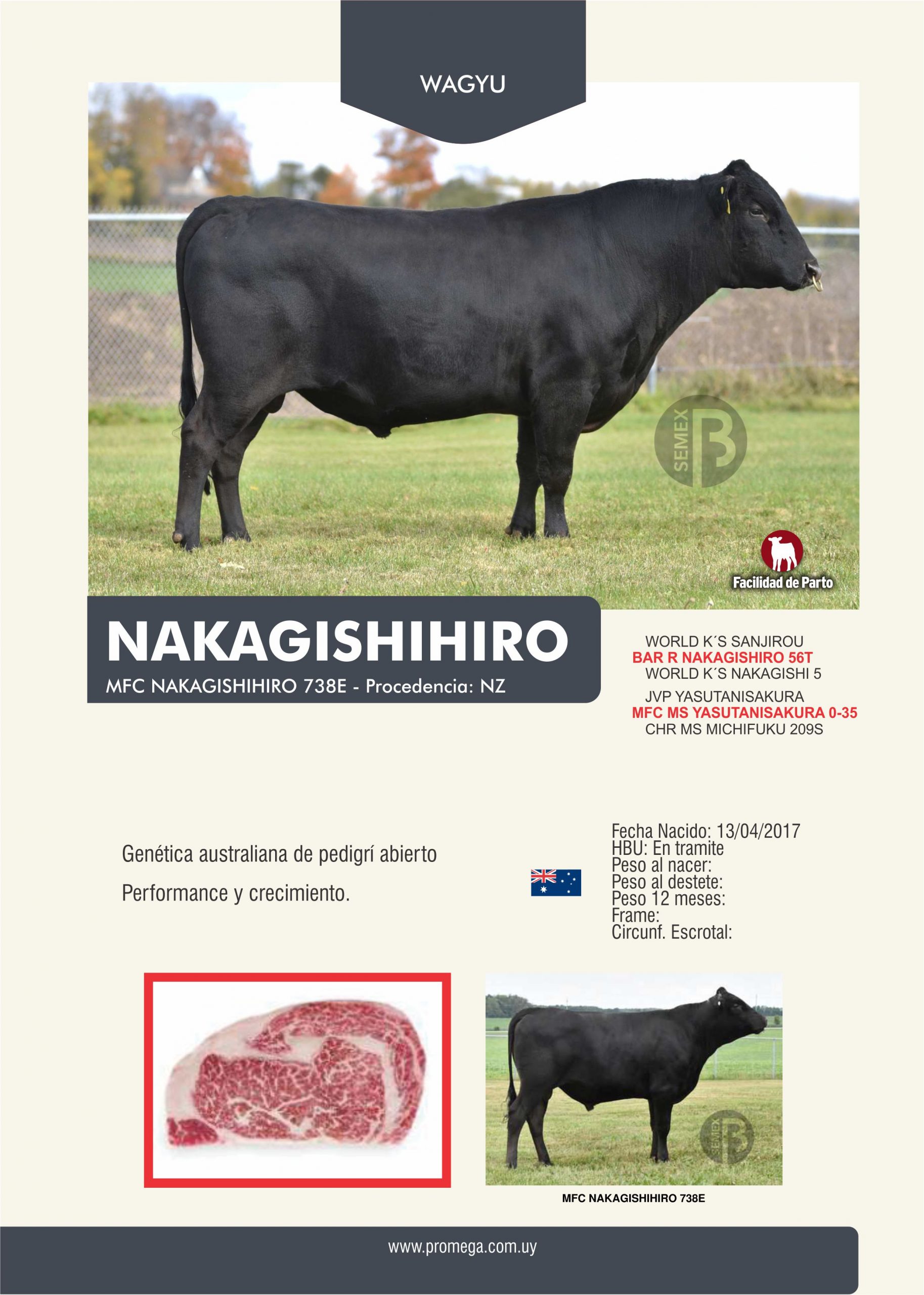 NAKAGISHIHRO