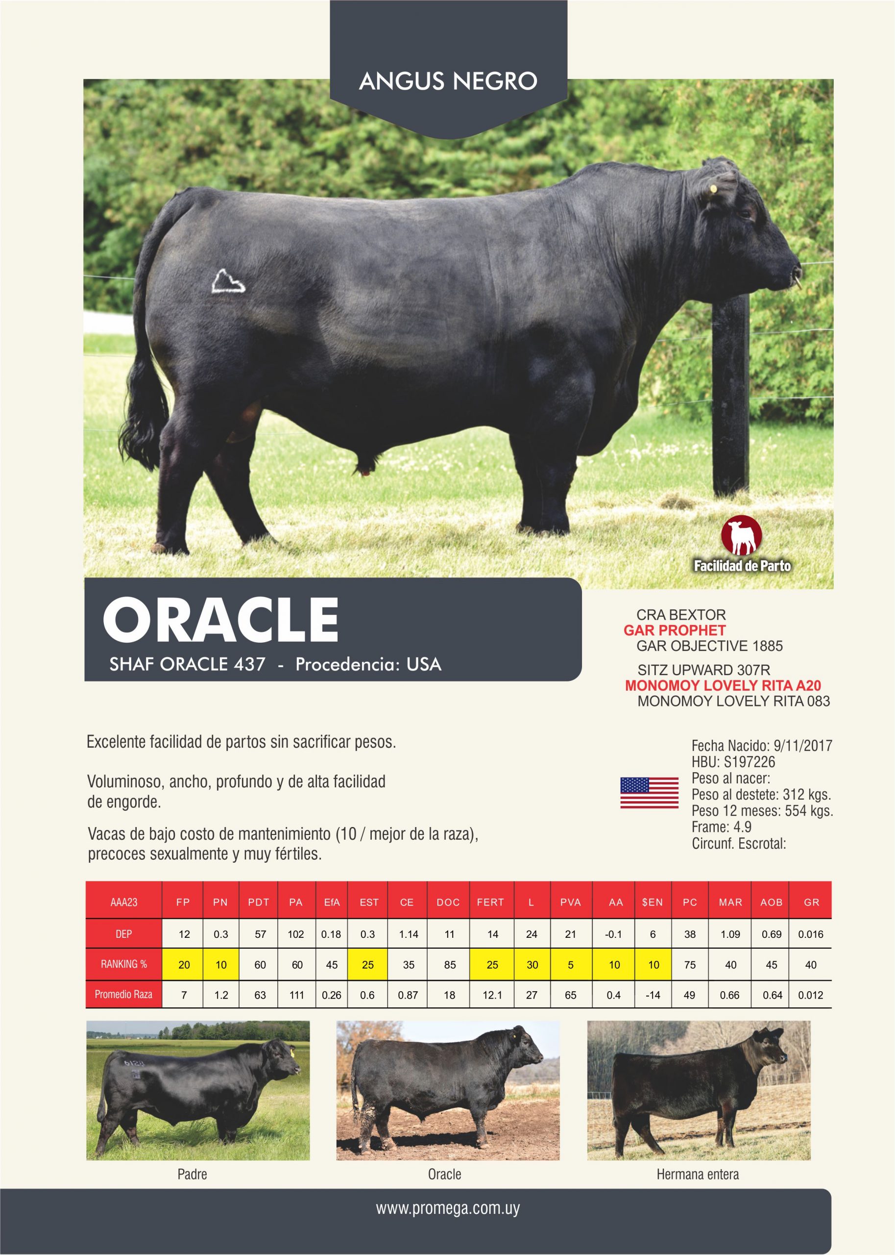 ORACLE