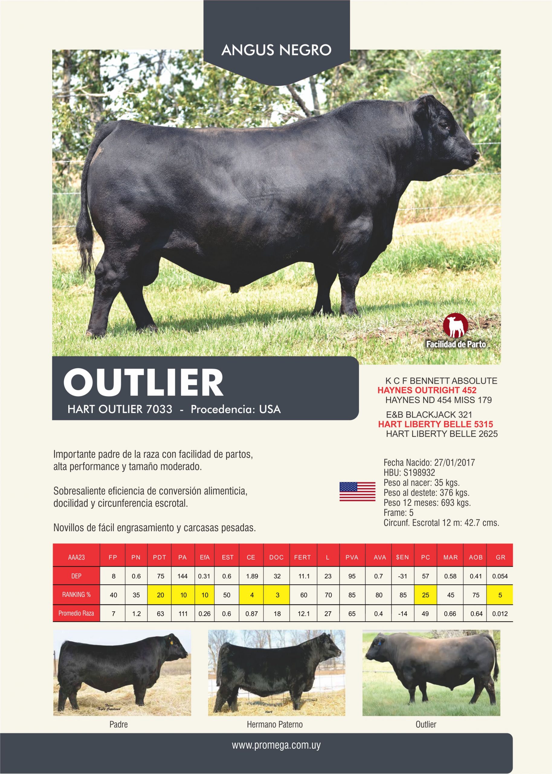 OUTLIER