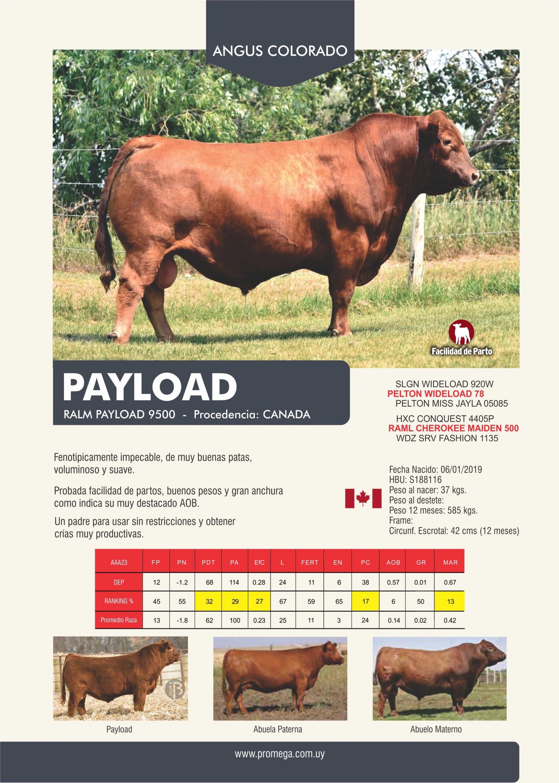 PAYLOAD