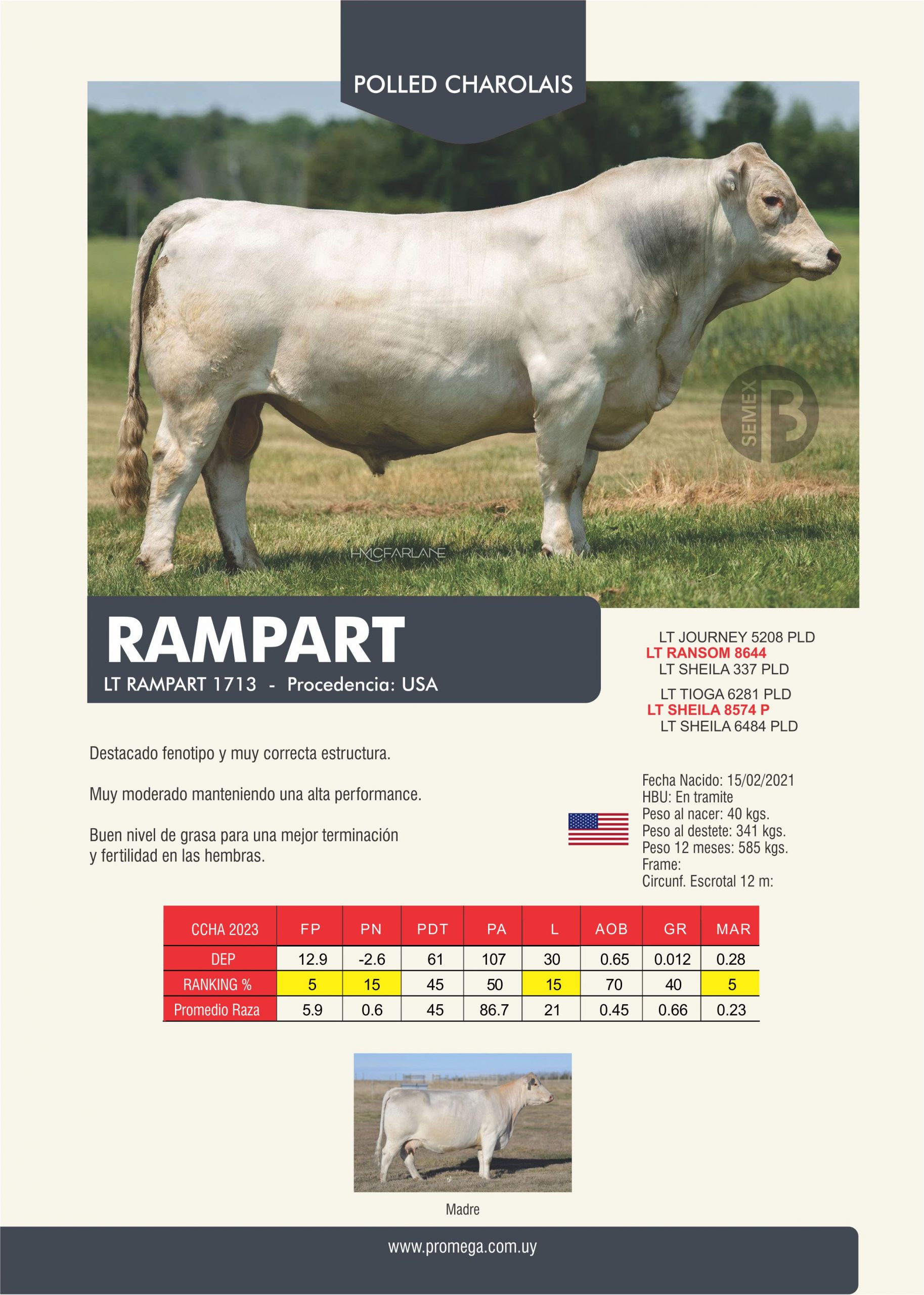 RAMPART