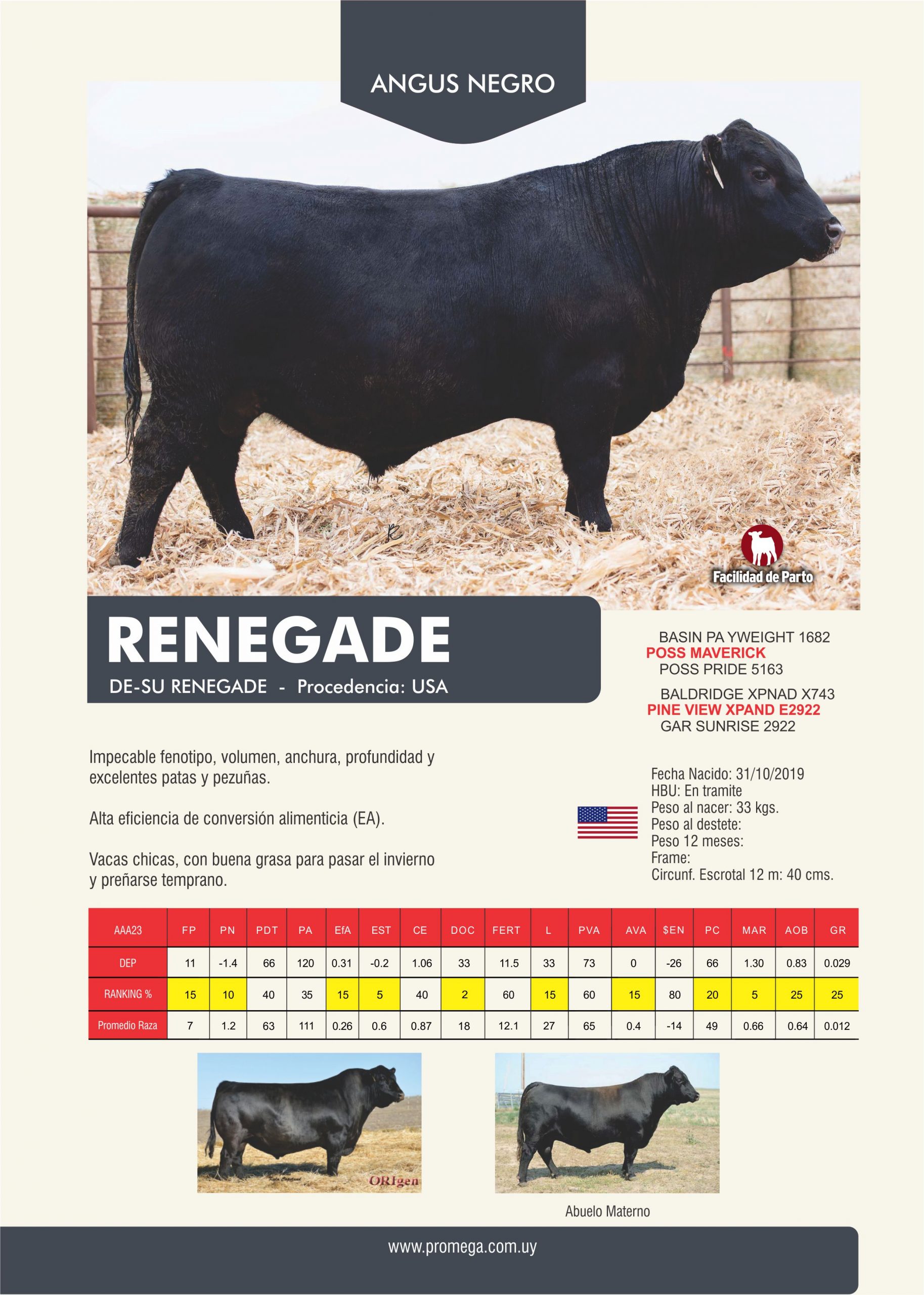 RENEGADE