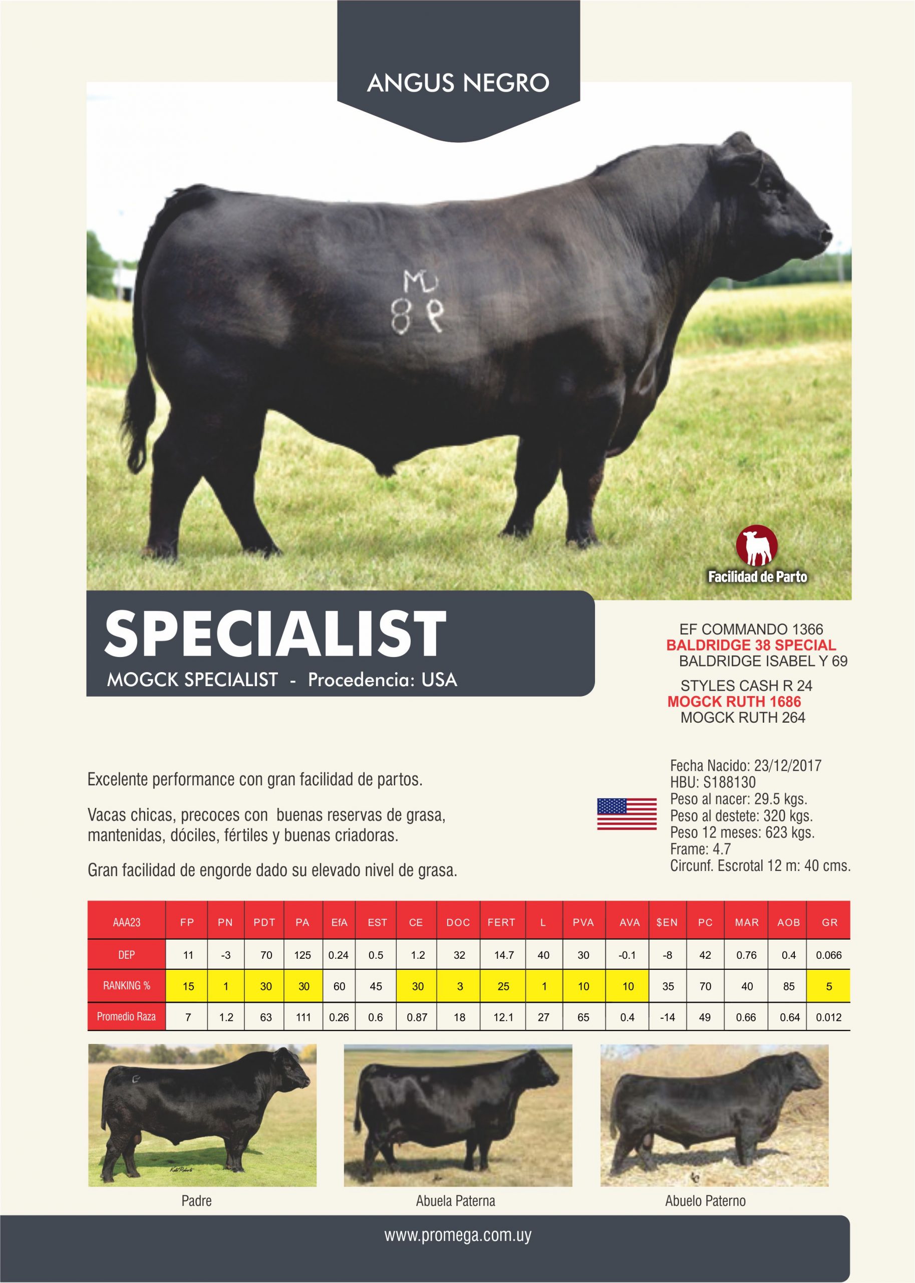SPECIALIST