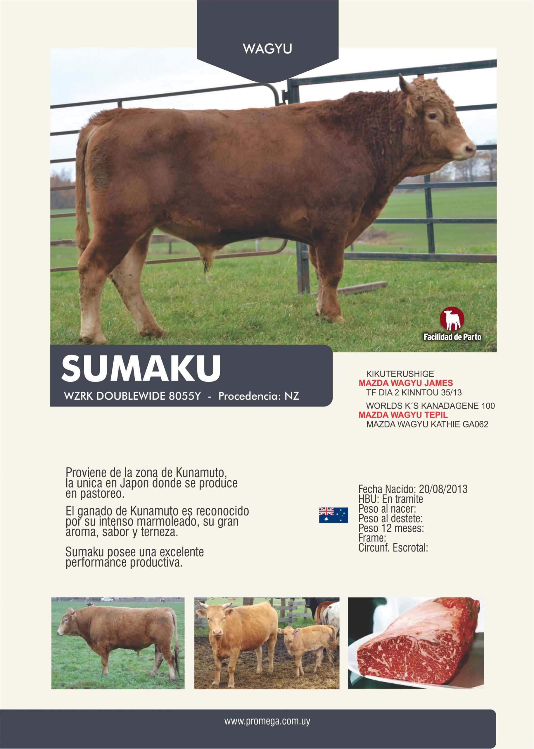 SUMAKU