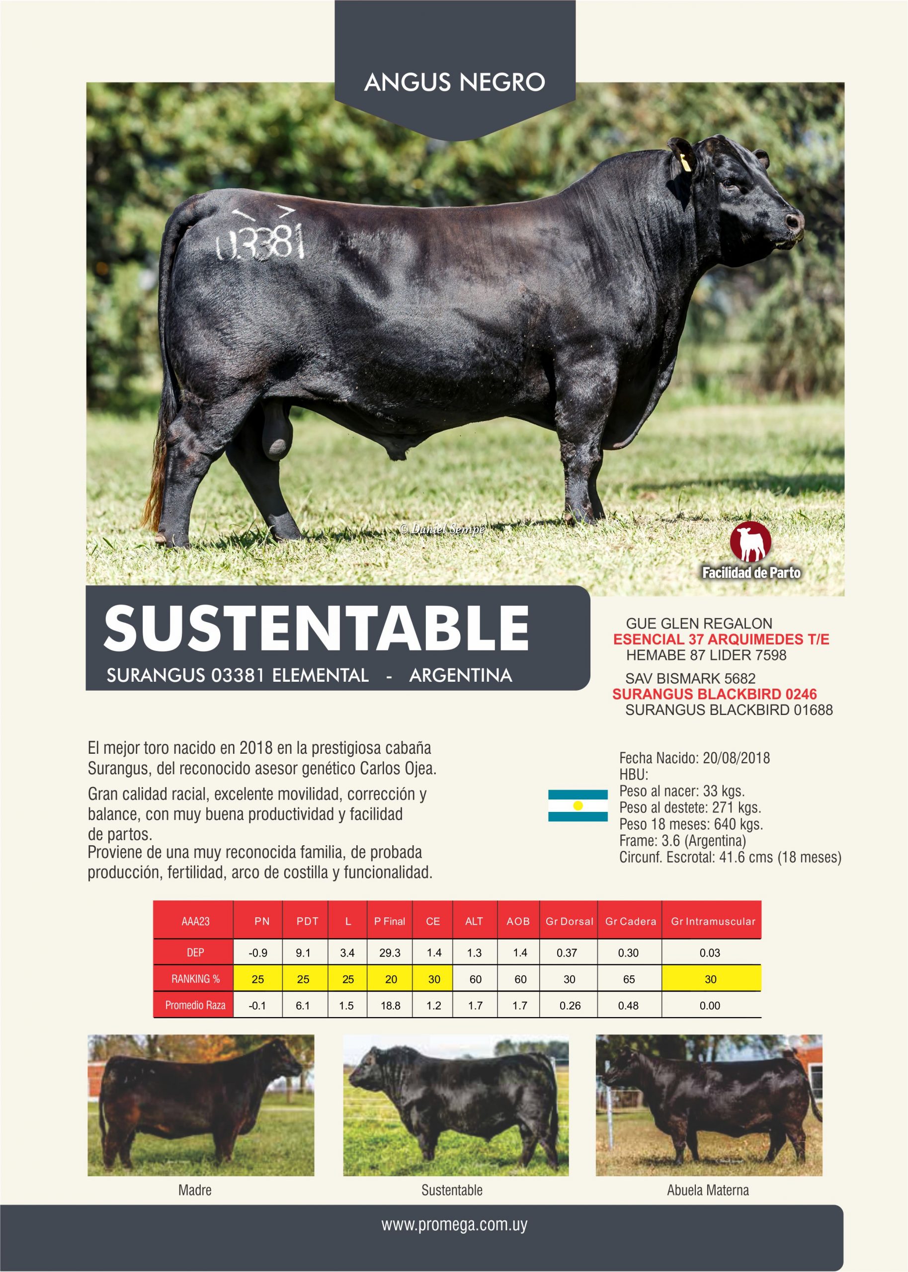 SUSTENTABLE