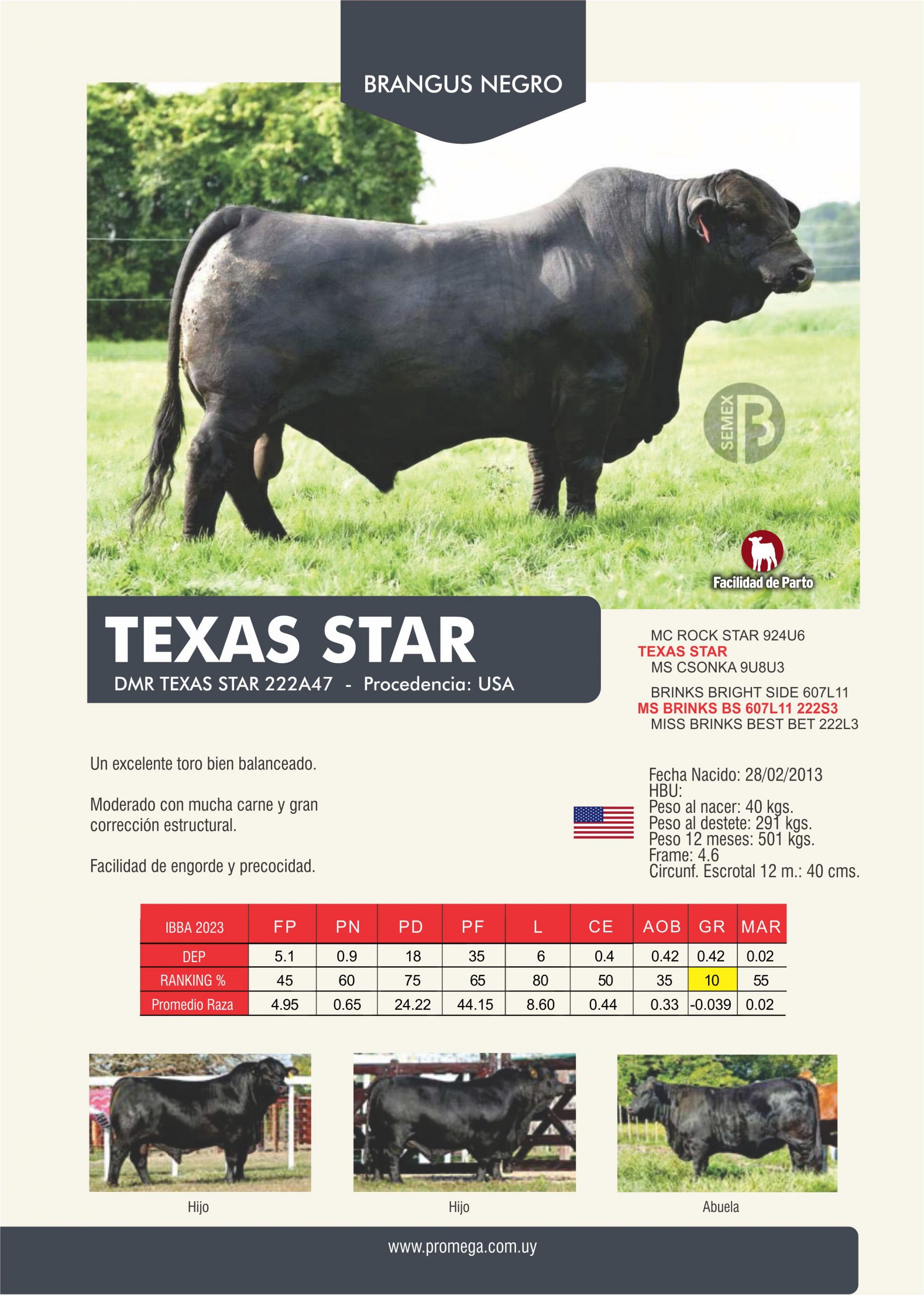 TEXAS STAR